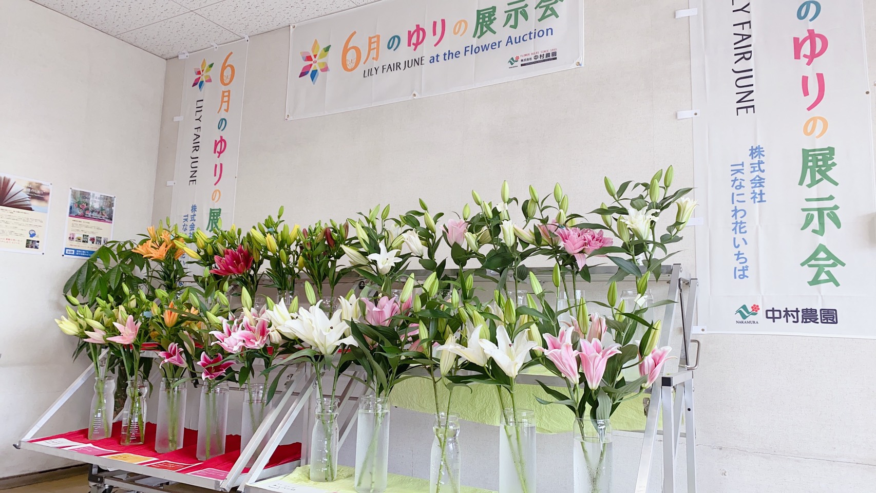 ｔｋなにわ花いちば 出張展示会 Lily Fair June At The Flower Auction21 株式会社中村農園