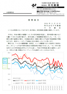 情勢報告（2024/11/15）